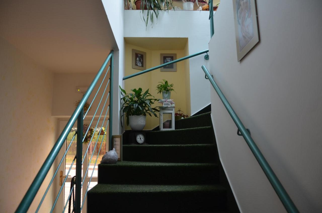 Penzion Aura Dvur Kralove nad Labem Exterior photo